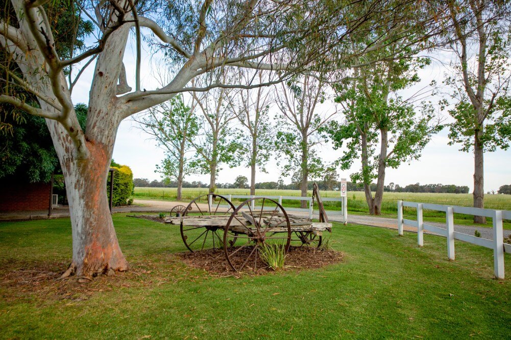 Lawns & Gardens-gallery-1