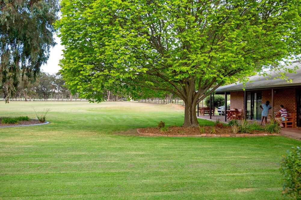 Lawns & Gardens-gallery-12