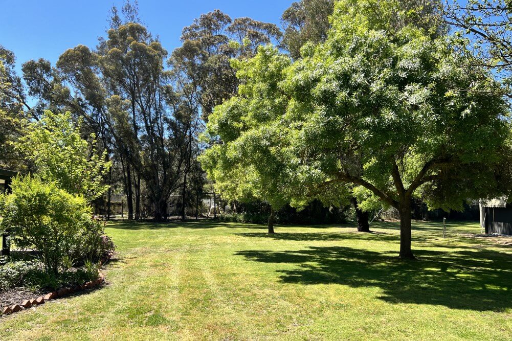 Lawns & Gardens-gallery-3