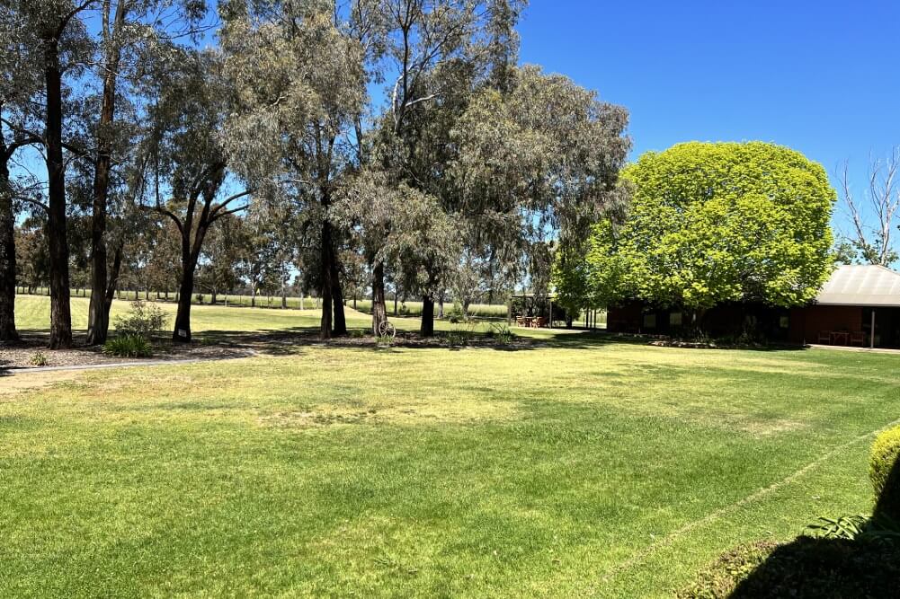 Lawns & Gardens-gallery-6