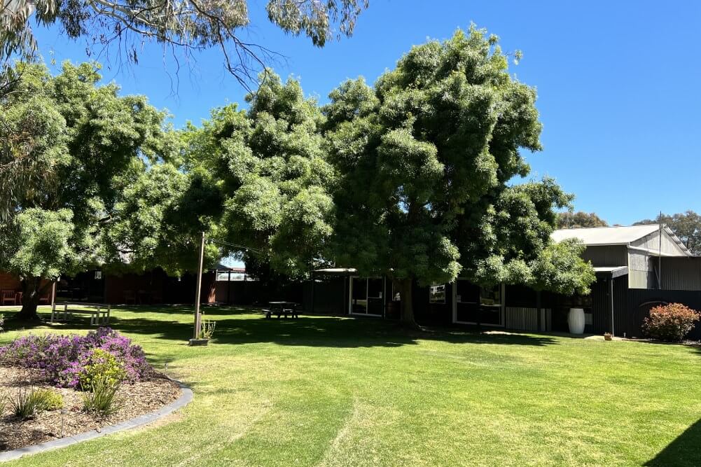 Lawns & Gardens-gallery-7