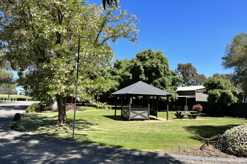 Lawns & Gardens-gallery-8