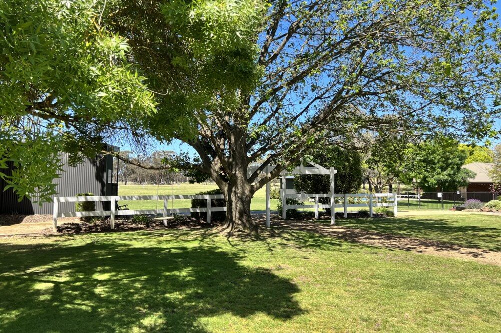 Lawns & Gardens-gallery-9