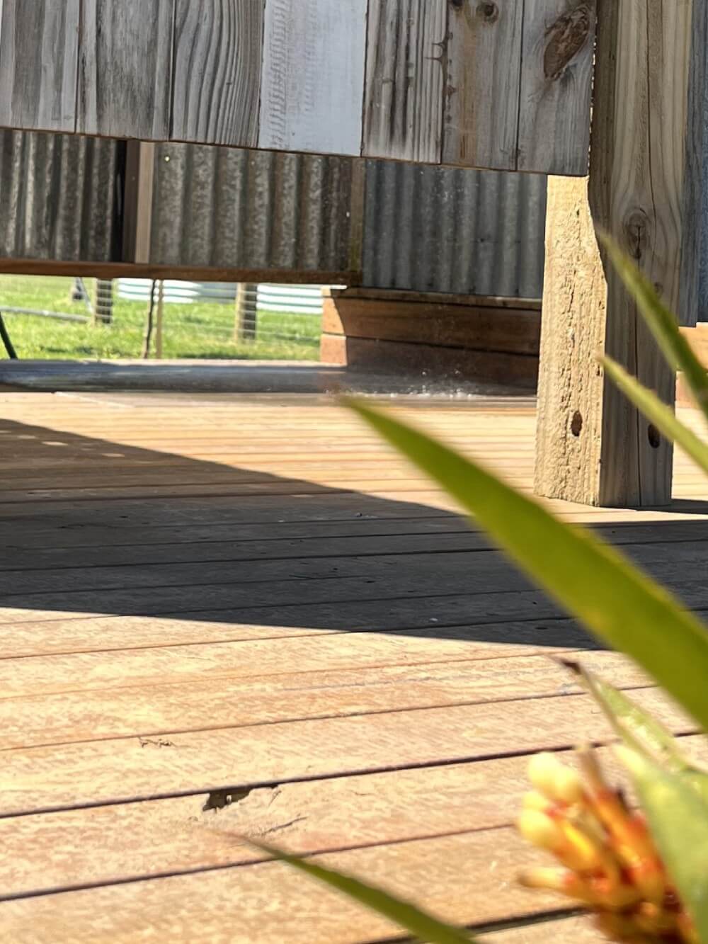 Open Air Bush Shower-gallery-3