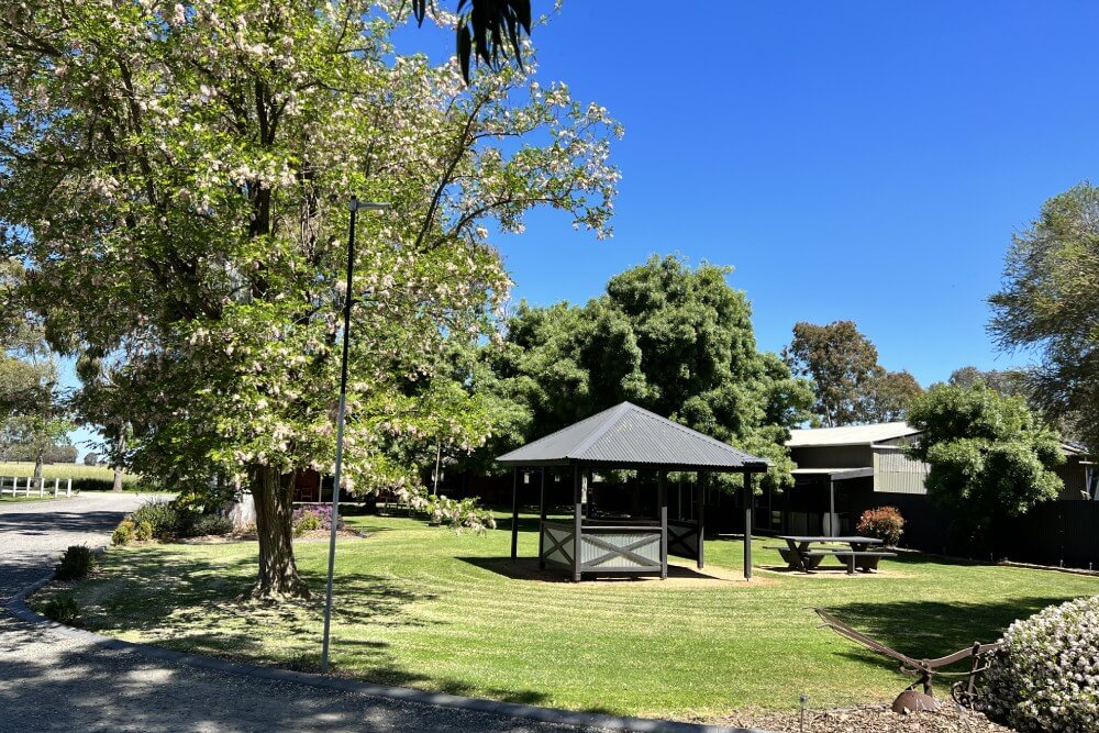 bbq hut long shot pic