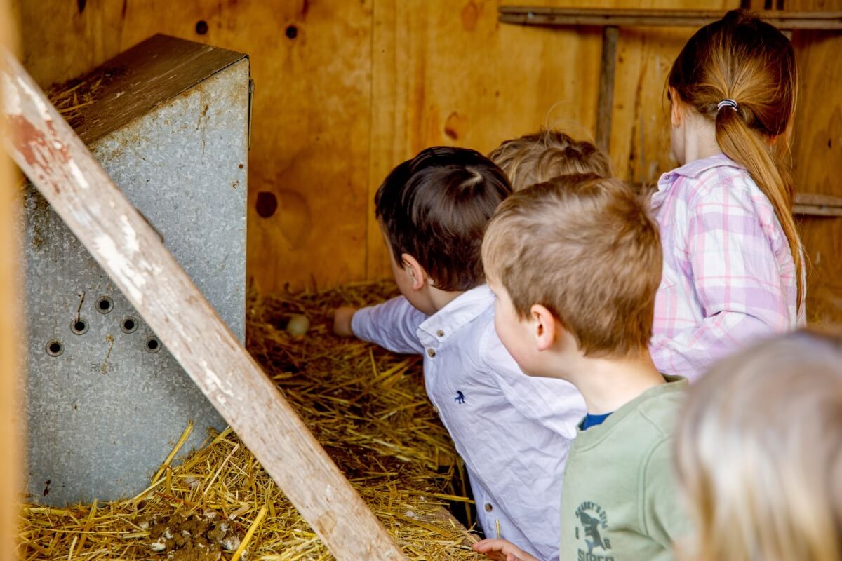 birthday-party-pic-18