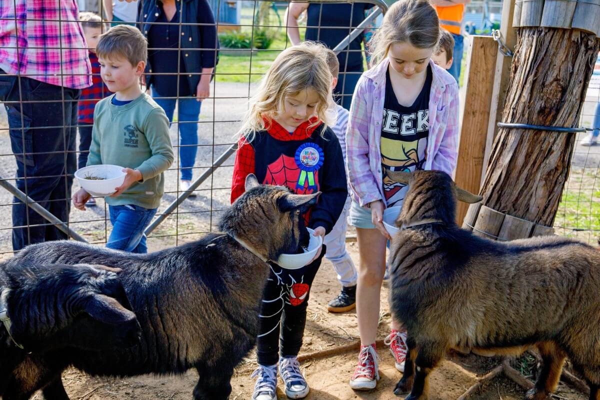 birthday-party-pic-19