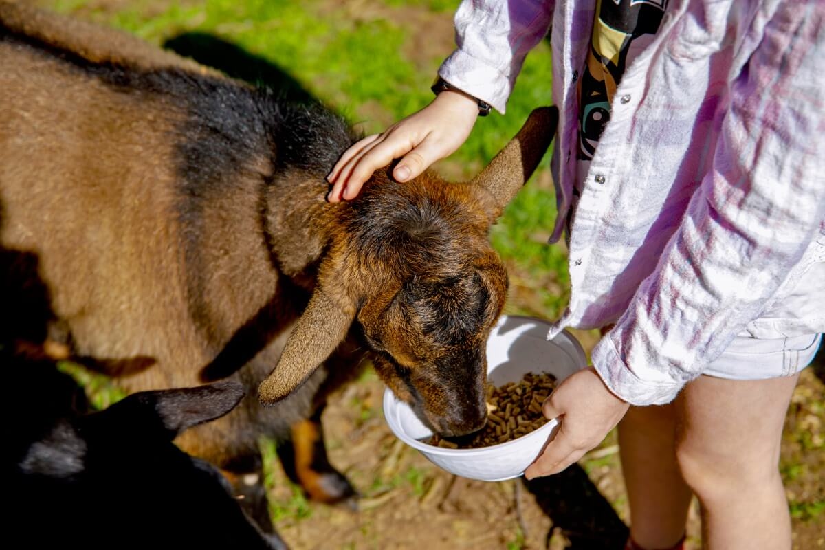 birthday-party-pic-21