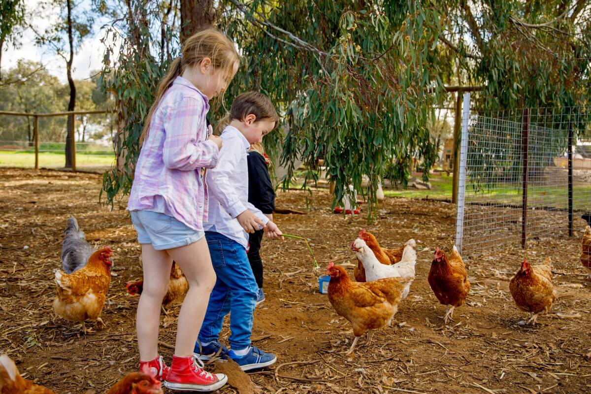 birthday-party-pic-3