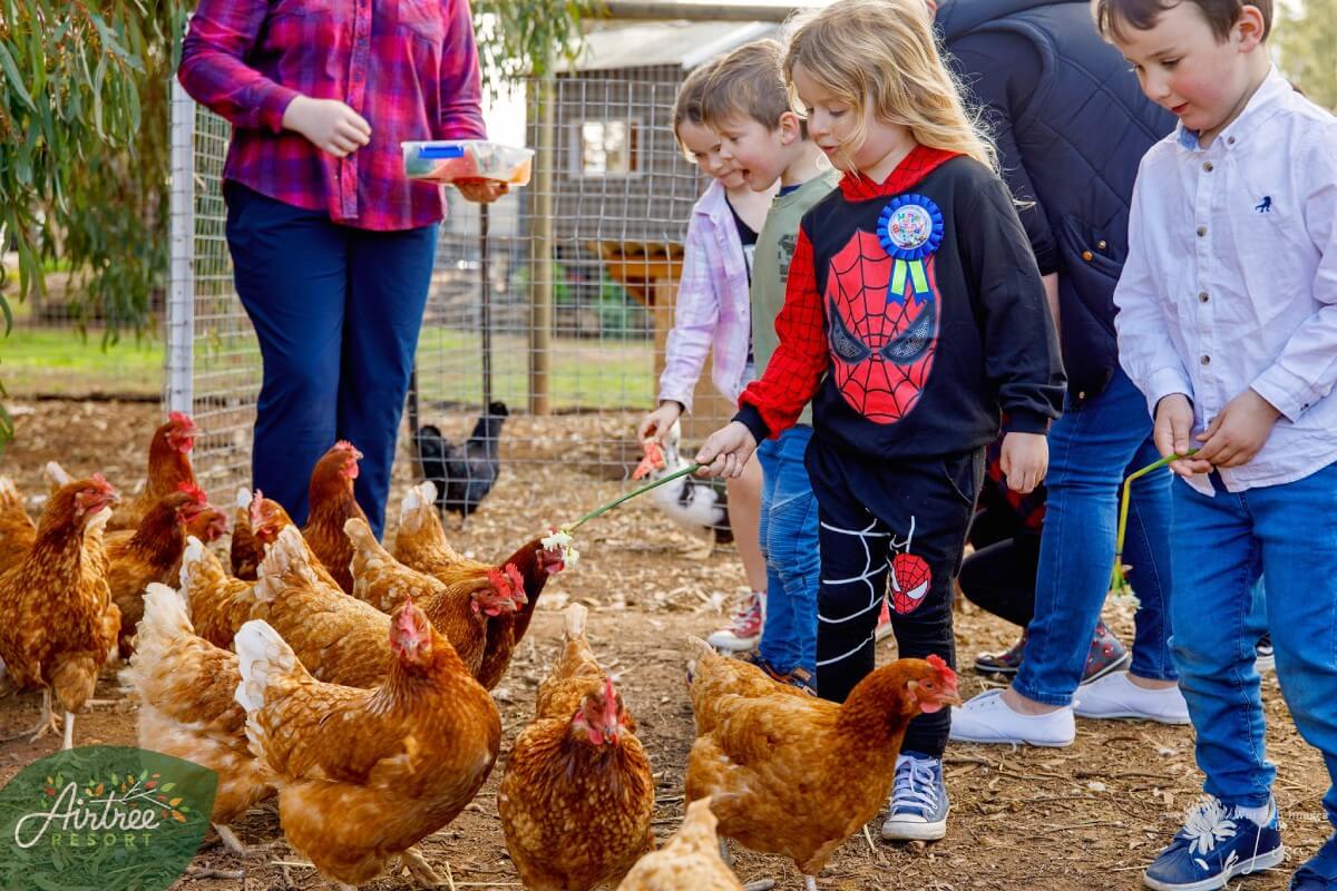 birthday-party-pic-8